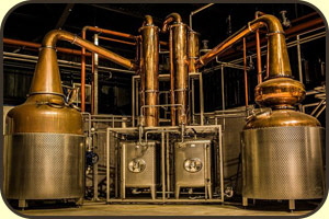 Arbikie stills