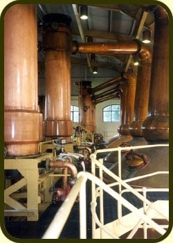 Pot stills at Glenrothes, Scotland